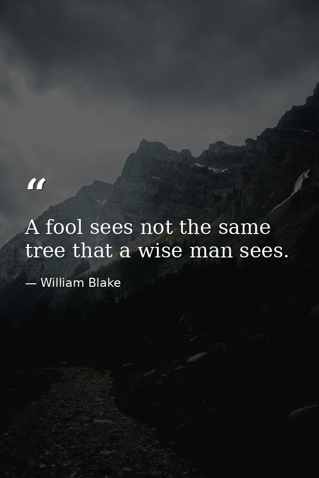 A fool sees not the same tree that a wise man sees. — William Blake