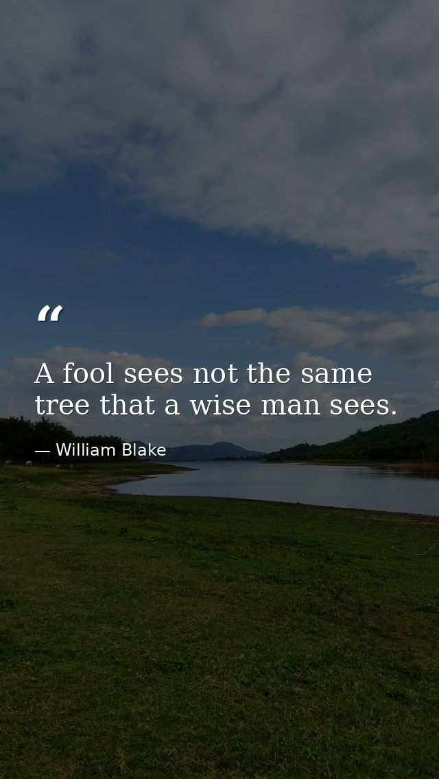 A fool sees not the same tree that a wise man sees. — William Blake