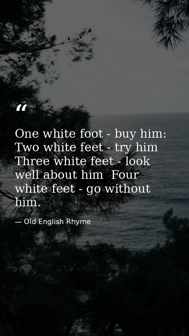 One white foot - buy him: Two white feet - try him  Three white feet - look well about him  Four white feet - go without — Old English Rhyme