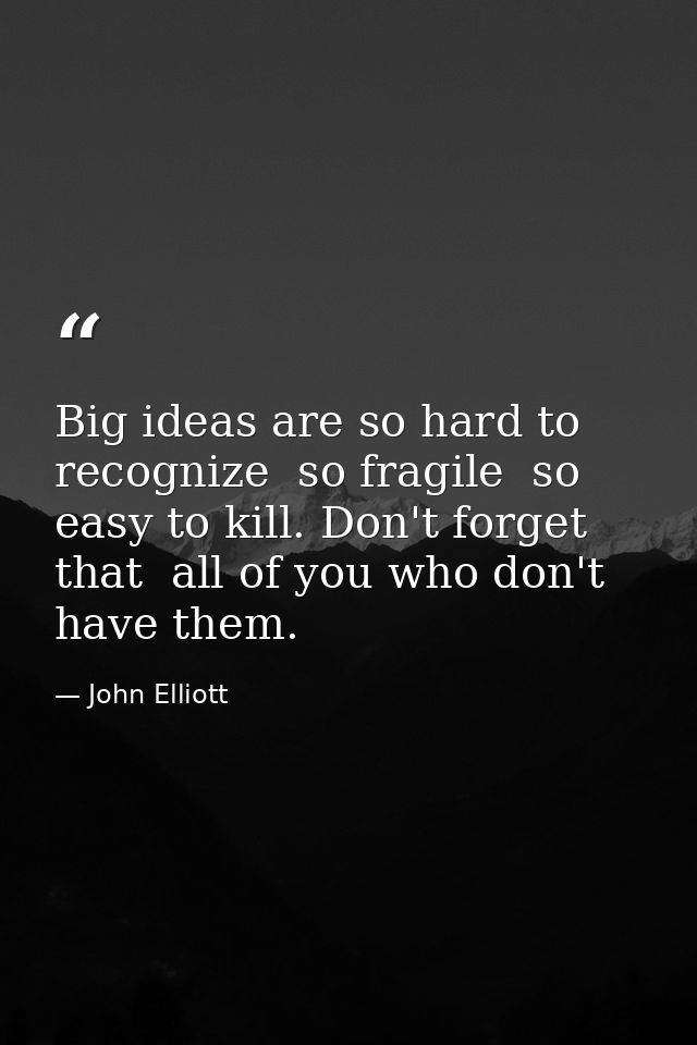 Big ideas are so hard to recognize  so fragile  so easy to kill. Don't forget that  all of you who don't have them. — John Elliott