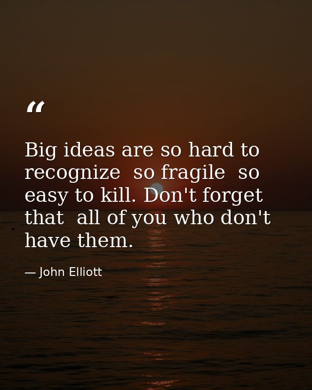 Big ideas are so hard to recognize  so fragile  so easy to kill. Don't forget that  all of you who don't have them. — John Elliott