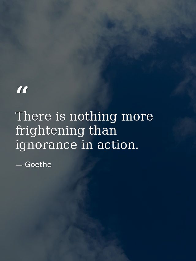 There is nothing more frightening than ignorance in action. — Goethe