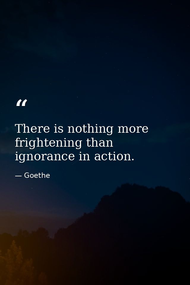 There is nothing more frightening than ignorance in action. — Goethe