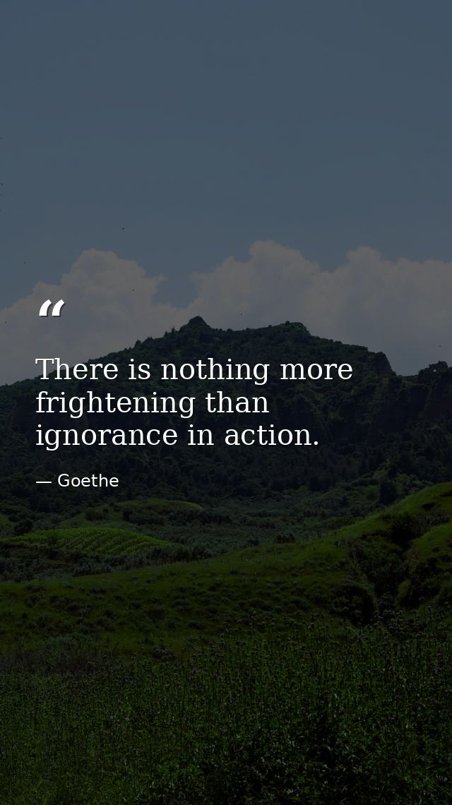 There is nothing more frightening than ignorance in action. — Goethe