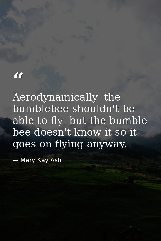 Aerodynamically  the bumblebee shouldn't be able to fly  but the bumble bee doesn't know it so it goes on flying anyway. — Mary Kay Ash