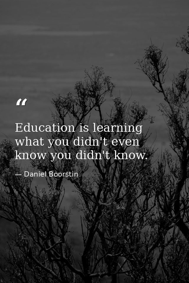 Education is learning what you didn't even know you didn't know. — Daniel Boorstin