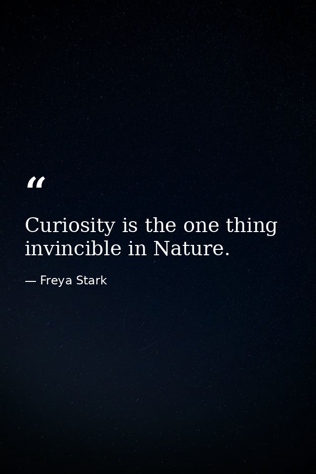 Curiosity is the one thing invincible in Nature. — Freya Stark