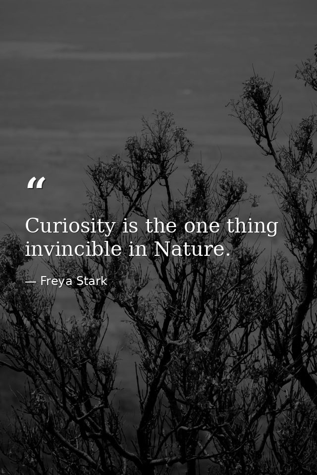 Curiosity is the one thing invincible in Nature. — Freya Stark