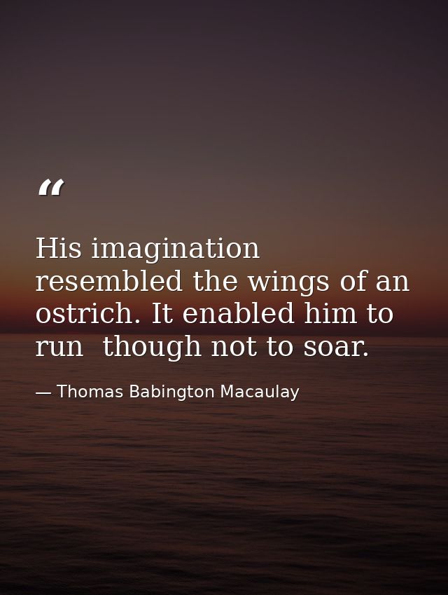 His imagination resembled the wings of an ostrich. It enabled him to run  though not to soar. — Thomas Babington Macaulay