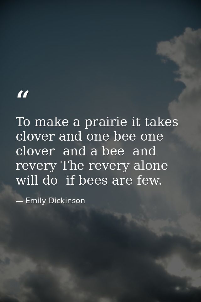To make a prairie it takes clover and one bee one clover  and a bee  and revery The revery alone will do  if bees are fe — Emily Dickinson