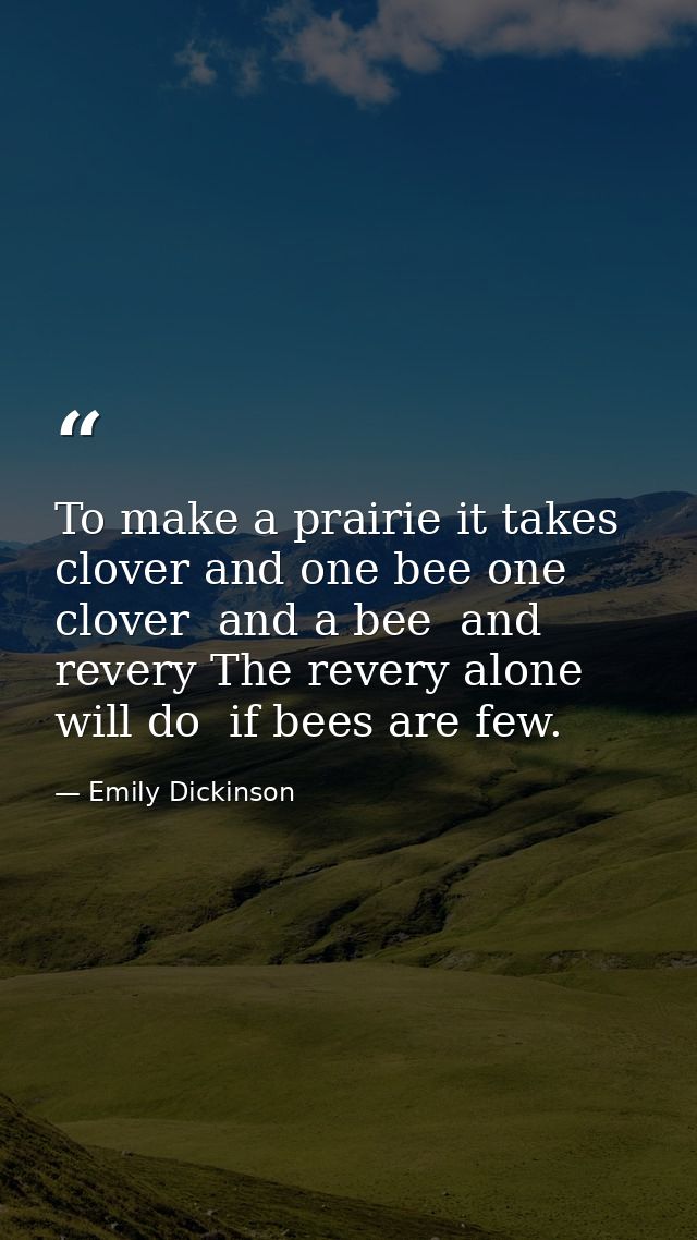 To make a prairie it takes clover and one bee one clover  and a bee  and revery The revery alone will do  if bees are fe — Emily Dickinson