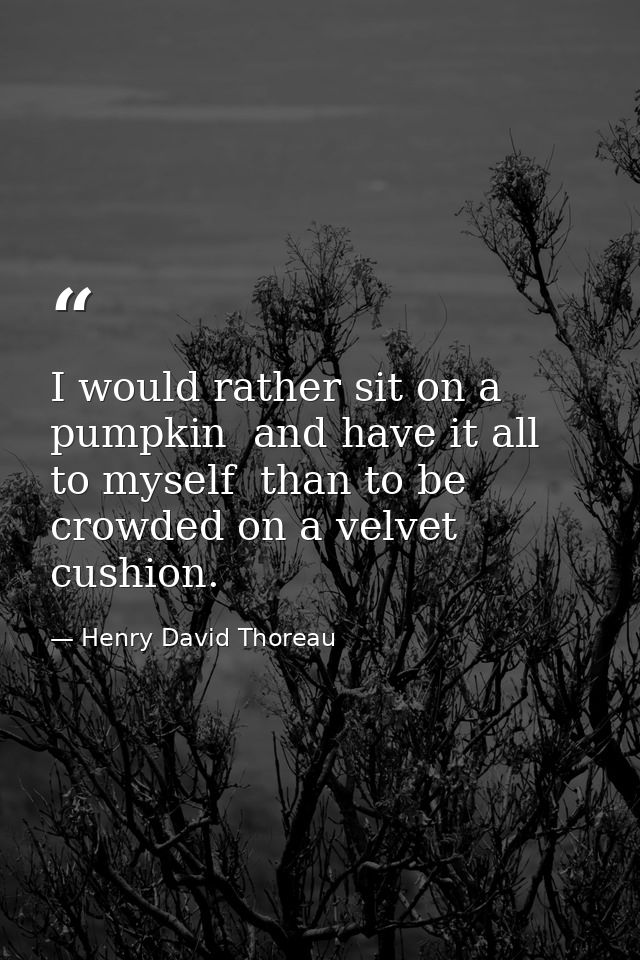 I would rather sit on a pumpkin  and have it all to myself  than to be crowded on a velvet cushion. — Henry David Thoreau