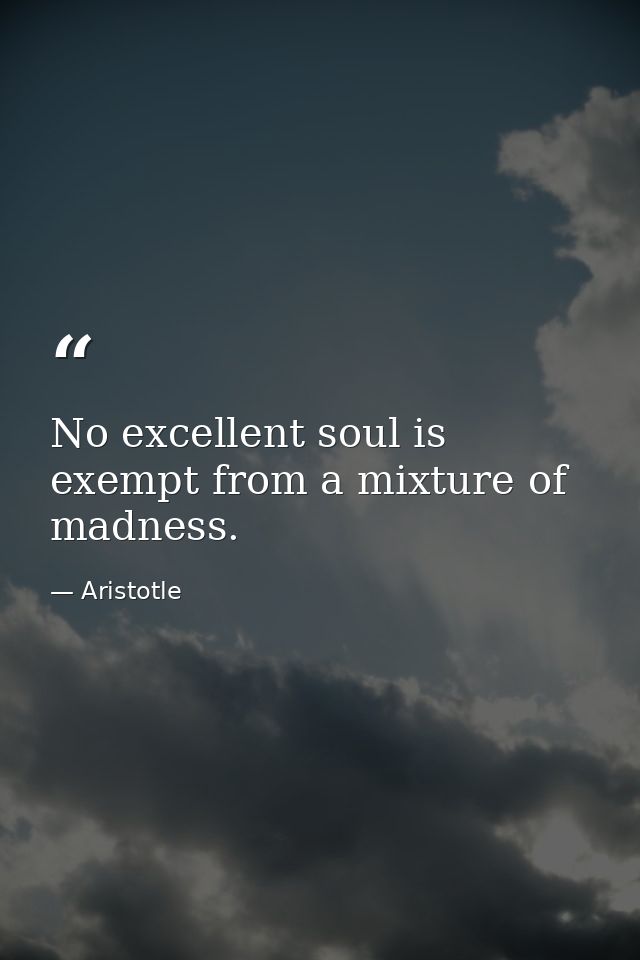 No excellent soul is exempt from a mixture of madness. — Aristotle