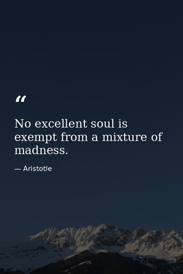 No excellent soul is exempt from a mixture of madness. — Aristotle