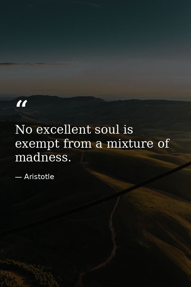 No excellent soul is exempt from a mixture of madness. — Aristotle