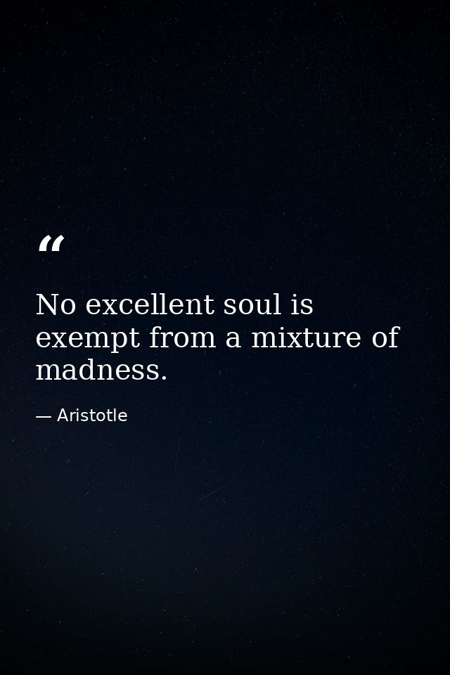 No excellent soul is exempt from a mixture of madness. — Aristotle