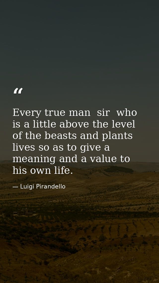 Every true man  sir  who is a little above the level of the beasts and plants  lives so as to give a meaning and a value — Luigi Pirandello