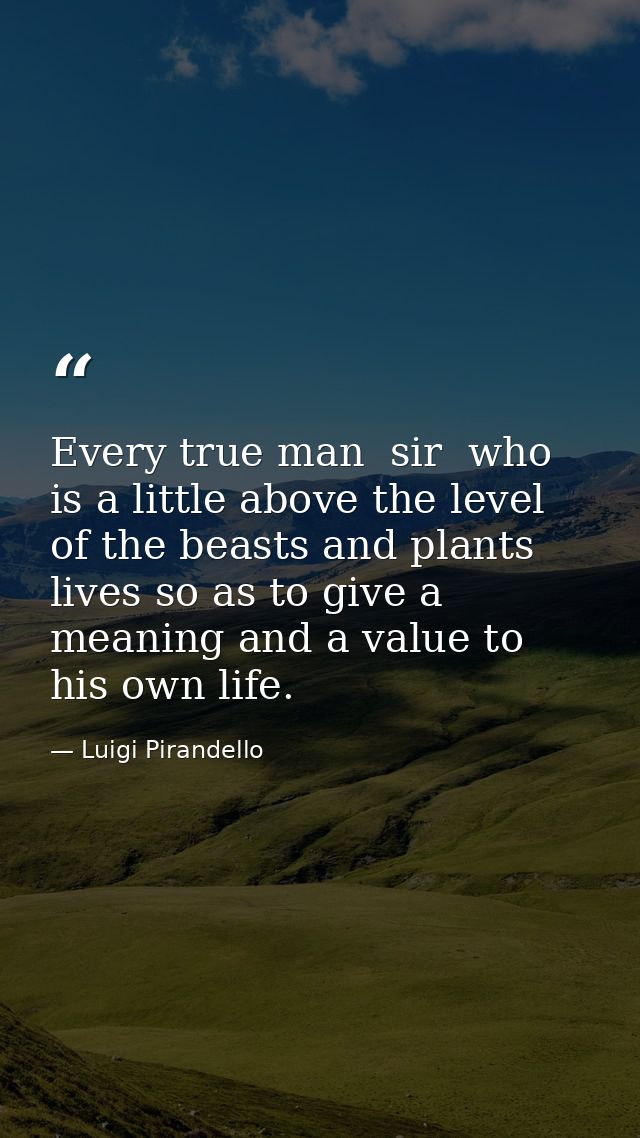 Every true man  sir  who is a little above the level of the beasts and plants  lives so as to give a meaning and a value — Luigi Pirandello