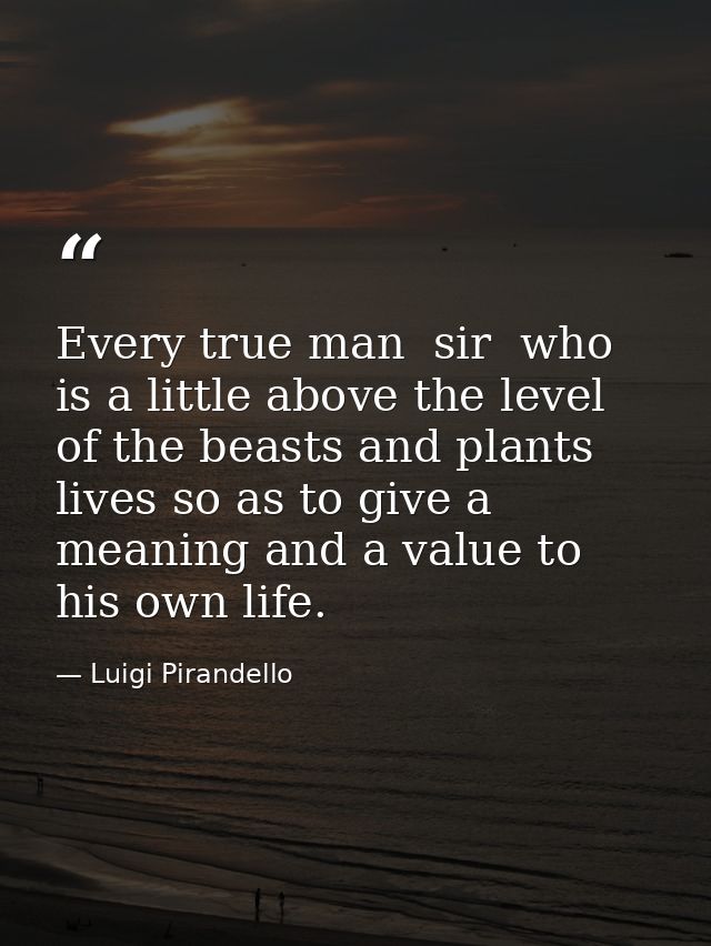 Every true man  sir  who is a little above the level of the beasts and plants  lives so as to give a meaning and a value — Luigi Pirandello