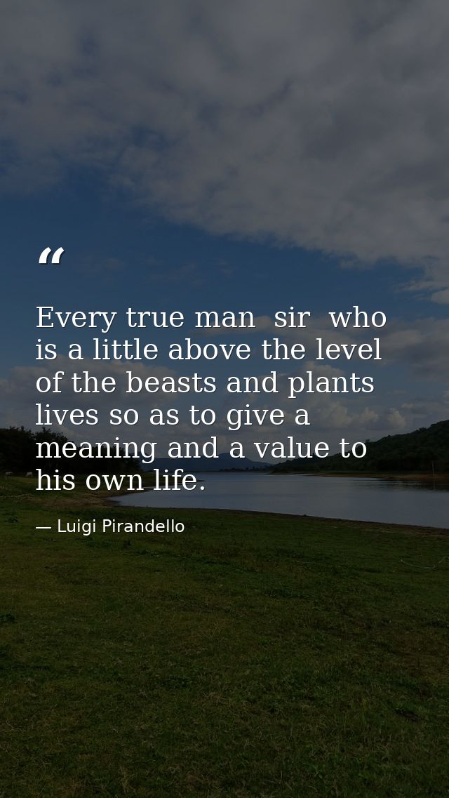 Every true man  sir  who is a little above the level of the beasts and plants  lives so as to give a meaning and a value — Luigi Pirandello