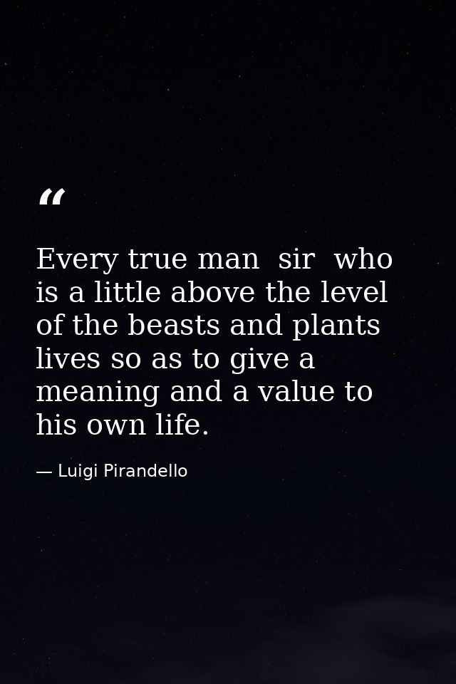 Every true man  sir  who is a little above the level of the beasts and plants  lives so as to give a meaning and a value — Luigi Pirandello