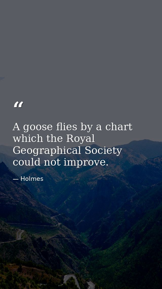 A goose flies by a chart which the Royal Geographical Society could not improve. — Holmes