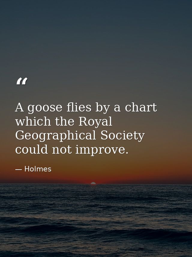 A goose flies by a chart which the Royal Geographical Society could not improve. — Holmes