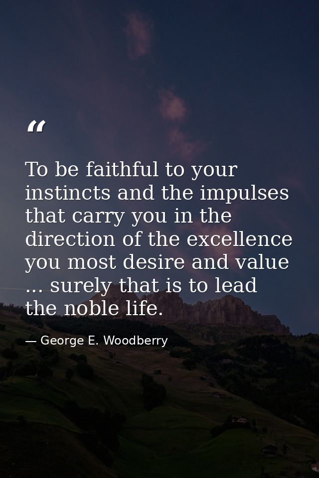To be faithful to your instincts and the impulses that carry you in the direction of the excellence you most desire and  — George E. Woodberry