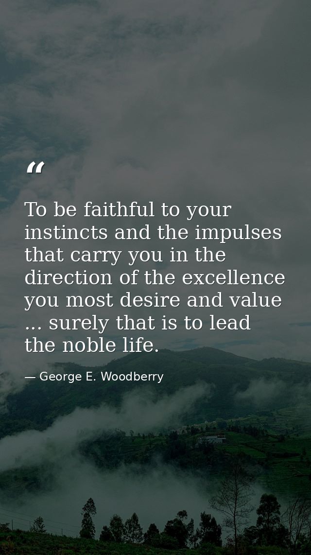 To be faithful to your instincts and the impulses that carry you in the direction of the excellence you most desire and  — George E. Woodberry