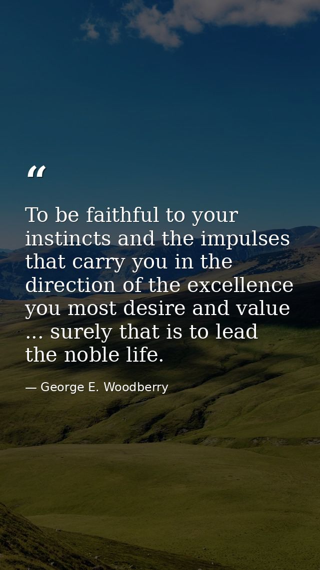 To be faithful to your instincts and the impulses that carry you in the direction of the excellence you most desire and  — George E. Woodberry