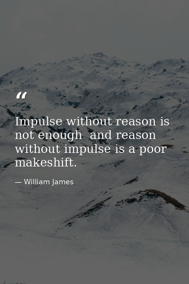 Impulse without reason is not enough  and reason without impulse is a poor makeshift. — William James