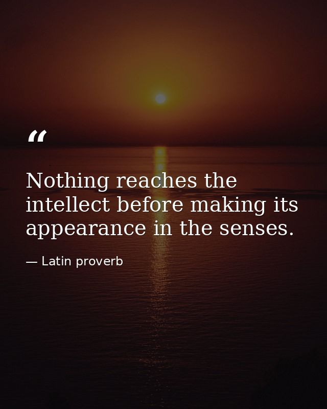 Nothing reaches the intellect before making its appearance in the senses. — Latin proverb