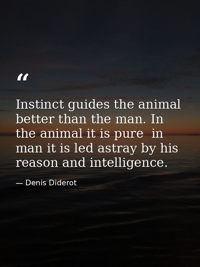 Instinct guides the animal better than the man. In the animal it is pure  in man it is led astray by his reason and inte — Denis Diderot