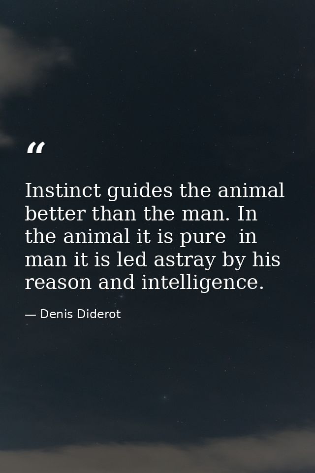 Instinct guides the animal better than the man. In the animal it is pure  in man it is led astray by his reason and inte — Denis Diderot