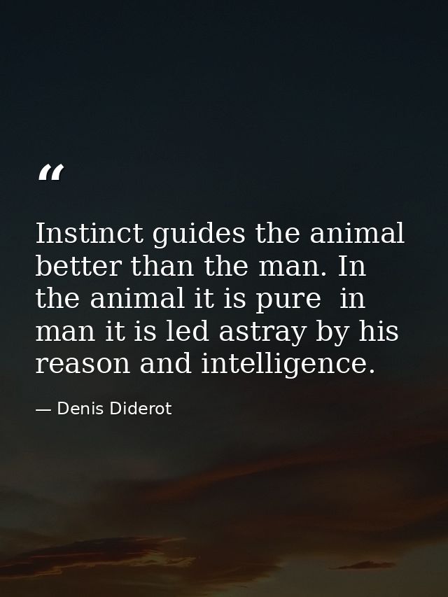 Instinct guides the animal better than the man. In the animal it is pure  in man it is led astray by his reason and inte — Denis Diderot