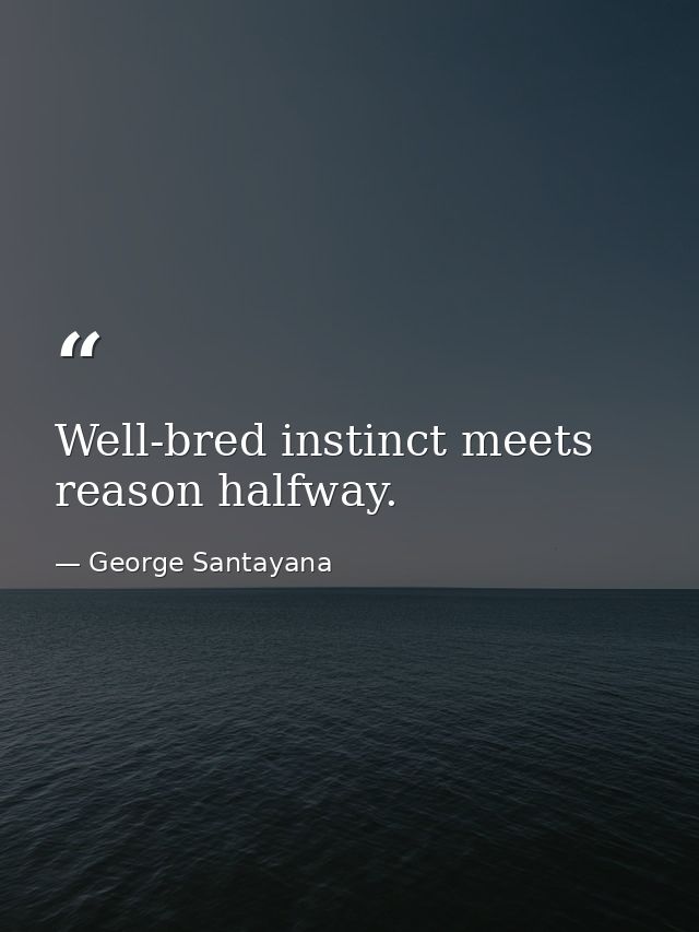 Well-bred instinct meets reason halfway. — George Santayana
