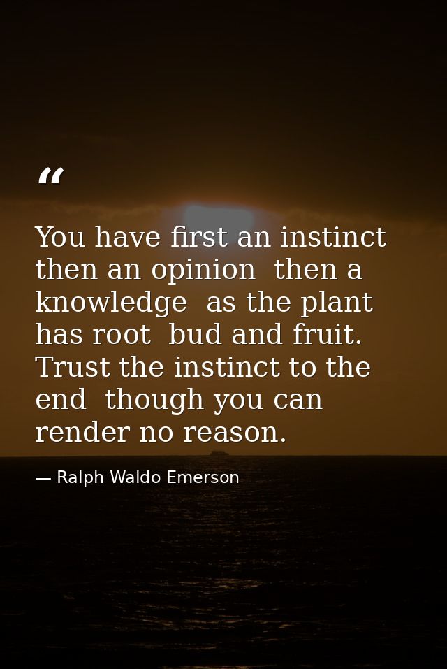 You have first an instinct  then an opinion  then a knowledge  as the plant has root  bud and fruit. Trust the instinct  — Ralph Waldo Emerson