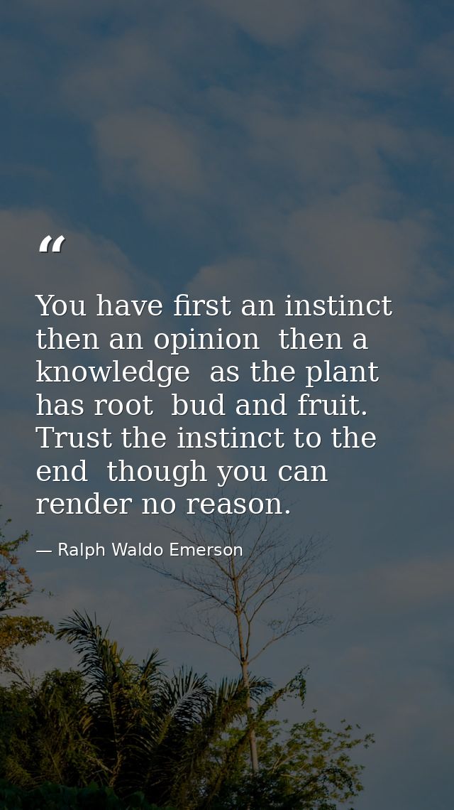 You have first an instinct  then an opinion  then a knowledge  as the plant has root  bud and fruit. Trust the instinct  — Ralph Waldo Emerson