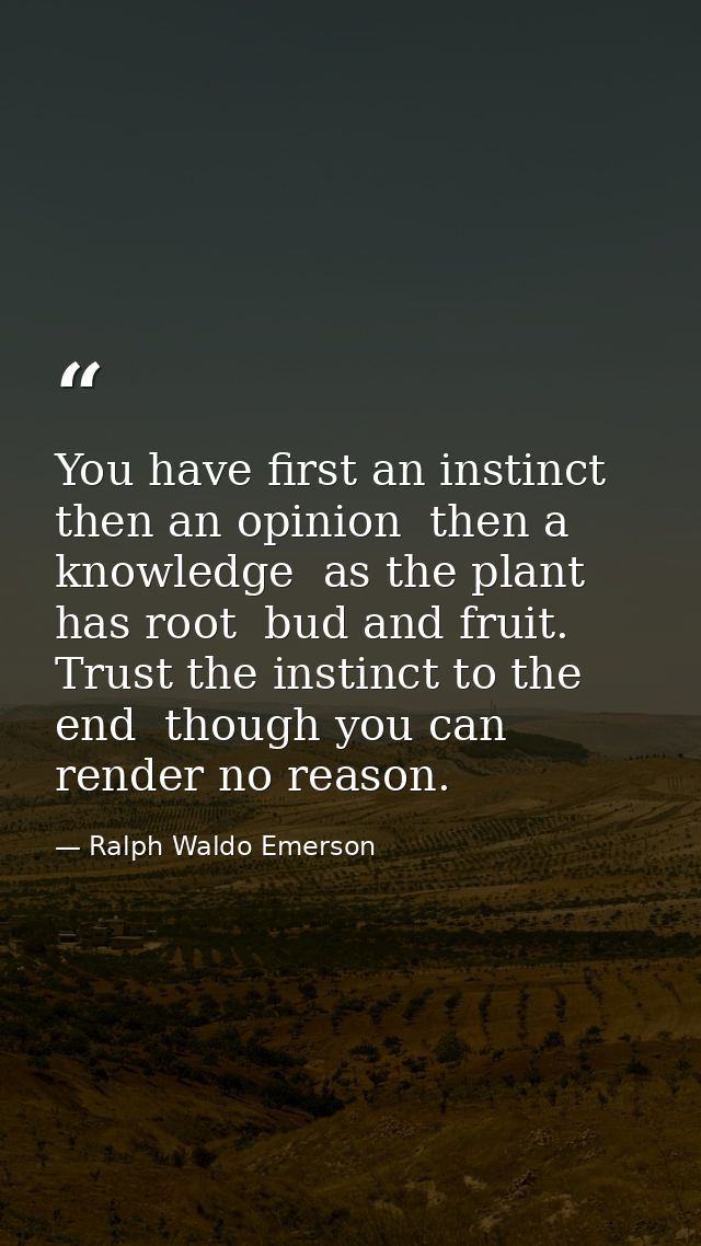 You have first an instinct  then an opinion  then a knowledge  as the plant has root  bud and fruit. Trust the instinct  — Ralph Waldo Emerson