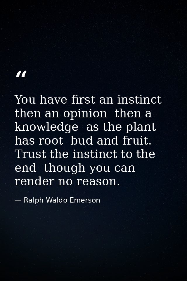 You have first an instinct  then an opinion  then a knowledge  as the plant has root  bud and fruit. Trust the instinct  — Ralph Waldo Emerson