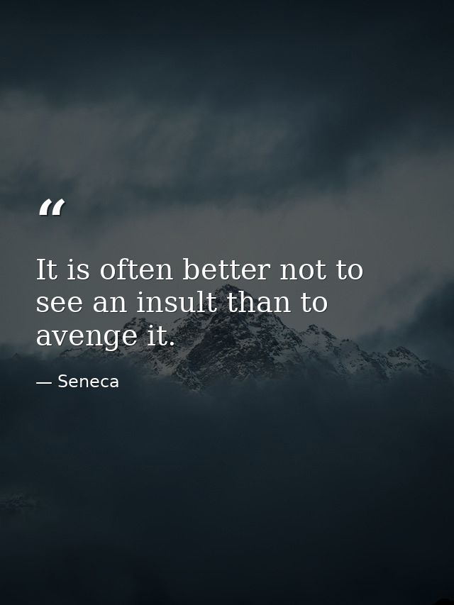 It is often better not to see an insult than to avenge it. — Seneca