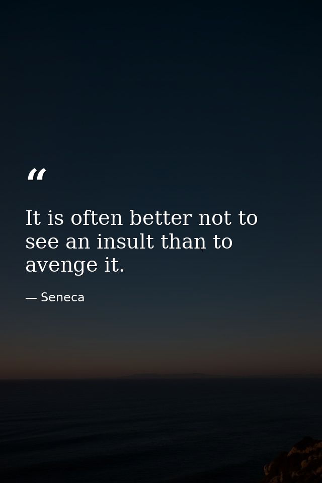 It is often better not to see an insult than to avenge it. — Seneca
