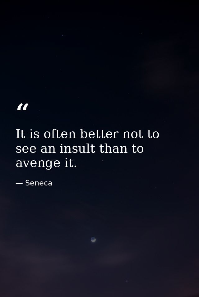 It is often better not to see an insult than to avenge it. — Seneca