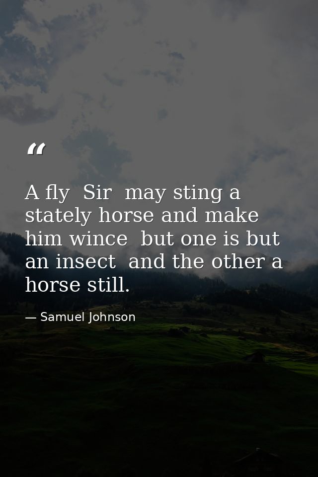 A fly  Sir  may sting a stately horse and make him wince  but one is but an insect  and the other a horse still. — Samuel Johnson