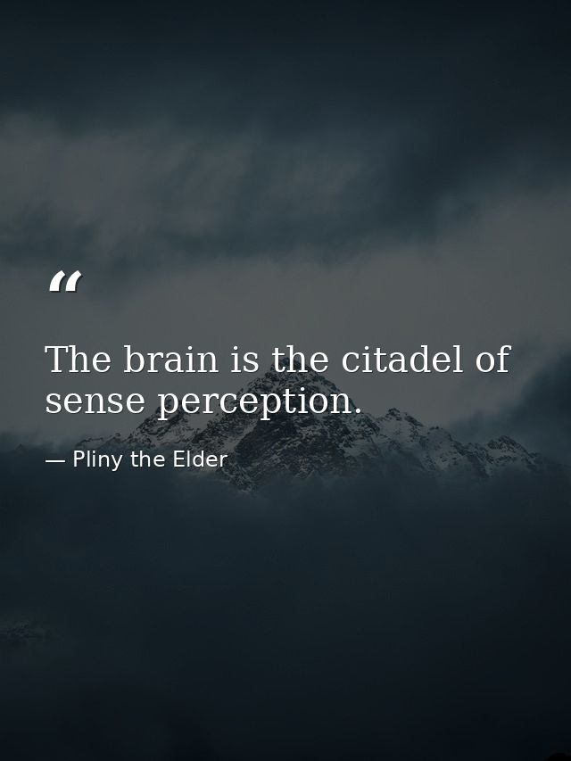 The brain is the citadel of sense perception. — Pliny the Elder