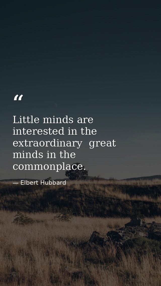 Little minds are interested in the extraordinary  great minds in the commonplace. — Elbert Hubbard