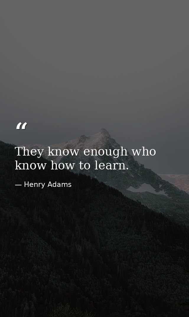They know enough who know how to learn. — Henry Adams