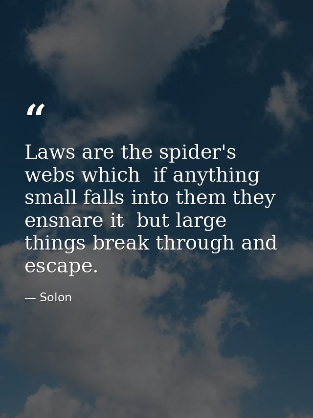 Laws are the spider's webs which  if anything small falls into them they ensnare it  but large things break through and  — Solon