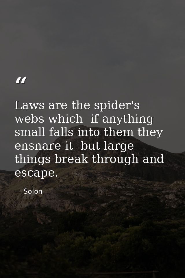 Laws are the spider's webs which  if anything small falls into them they ensnare it  but large things break through and  — Solon