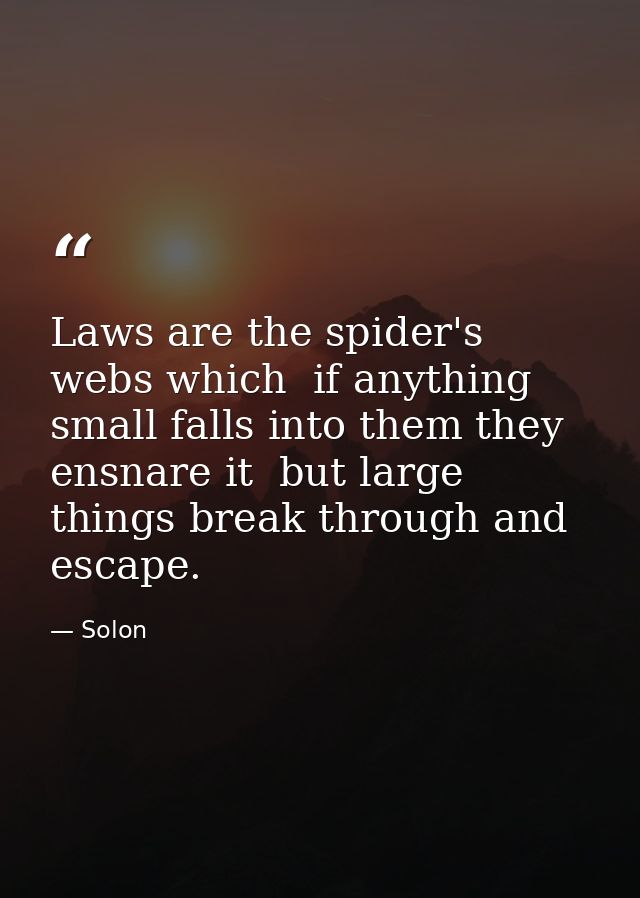 Laws are the spider's webs which  if anything small falls into them they ensnare it  but large things break through and  — Solon